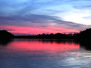 blog-Nov-1-2014-12-arapaima-flyfishing