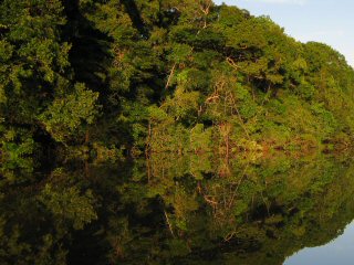 blog-Nov-2-2014-3-flyfishing-guyana