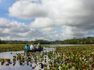 blog-Nov-3-2014-2-flyfishing-for-arapaima