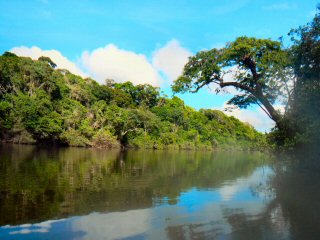 blog-Nov-4-2014-1-flyfishing-for-arapaima