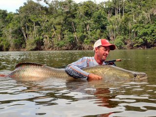 Swimming with a Sea Monster – the Arapaima