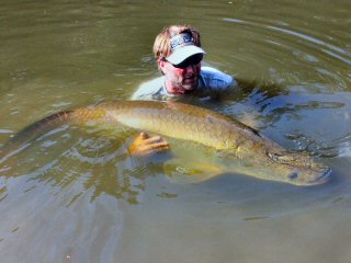 blog-Nov-7-2014-10-tim-brune-flyfishing-for-arapaima