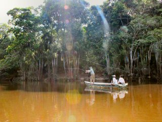 blog-Nov-8-2014-6-flyfishing-in-guyana