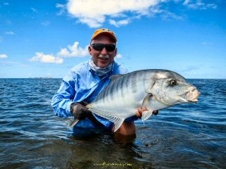 blog-Dec-11-2014-12-golden-trevally