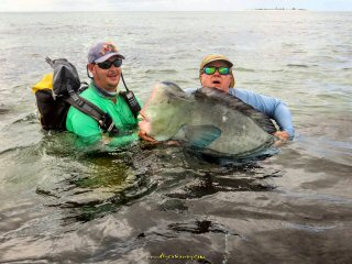 blog-Dec-11-2014-6-bumphead-parrotfish