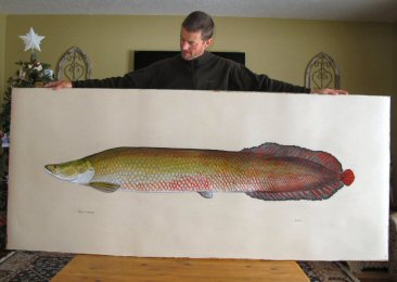 blog-Dec-29-2014-1-jeff-currier-fish-artwork-arapaima