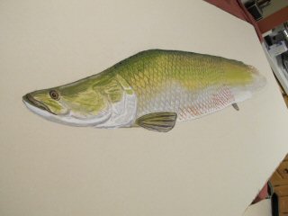 blog-Dec-29-2014-3-arapaima-fish-art