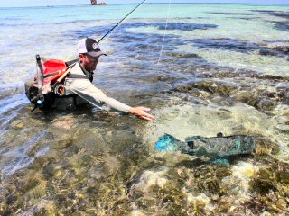 blog-Dec-5-2014-13-jeff-currier-releasing-bumpyhead