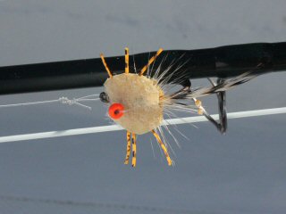 blog-Dec-5-2014-8-crab-fly-pattern