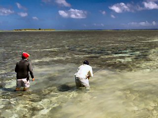 blog-Dec-5-2014-9-flyfishing-for-bumphead-parrotfish