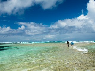 blog-Dec-6-2014-4-flyfishing-in-the-seychelles