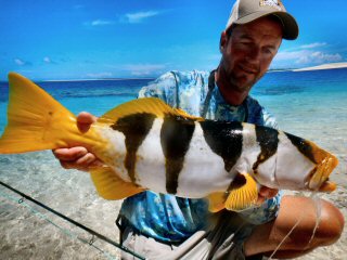 blog-Dec-7-2014-5-jeff-currier-saddleback-grouper