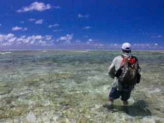 blog-Dec-8-2014-11-jeff-currier-flyfishing-on-farquhar