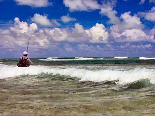 blog-Dec-8-2014-12-jeff-currier-flyfishing-for-parrotfish