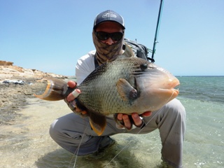 blog-April-7-2015-7-flyfishing-for-yellowmargin-triggerfish
