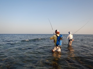blog-April-9-2015-3-flyfishing-the-red-sea