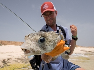 blog-April-10-2015-6-flyfishing-for-pufferfish