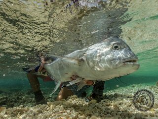 blog-April-13-2015-14-flyfishing-giant-trevally