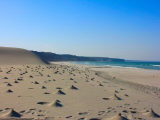 blog-April-17-2015-14-ghost-crabs-in-oman