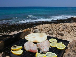 blog-April-20-2015-6-parrotfish-for-lunch