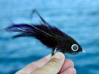 blog-April-29-2015-4-saltwater-fly