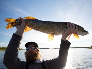 blog-June-29-2015-4-flyfishing-for-pike