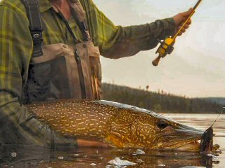 blog-June-30-2015-8-flyfishing-for-pike