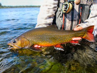 Adventures fly fishing in Labrador