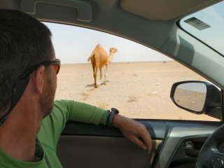 Adventures fly fishing in Oman