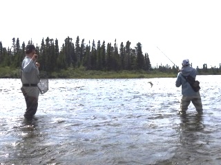 blog-Aug-3-2015-8-flyfishing-for-ouananiche