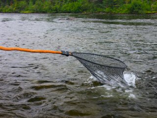 blog-Aug-5-2015-13-flyfishing-in-labrador