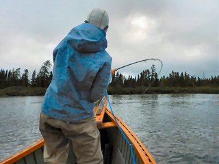 blog-Aug-6-2015-4-pike-fishing-in-labrador