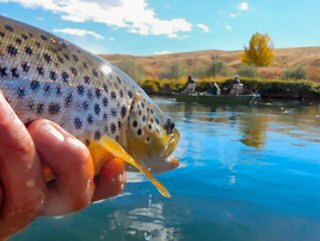 blog-Oct-26-2015-10-flyfishing-wy