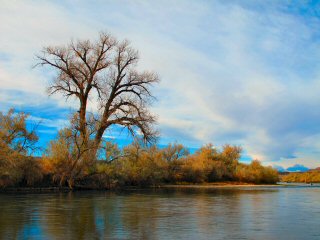 blog-Oct-26-2015-8-bighorn-river