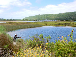 blog-Nov-13-2015-5-jeff-currier-flyfishing-for-grunter