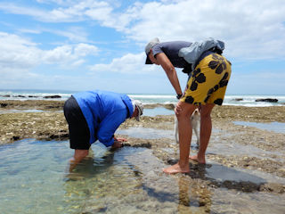 blog-Nov-14-2015-2-collecting-oysters