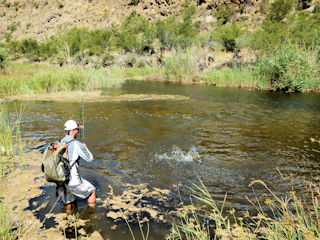 blog-Nov-15-2015-7-jeff-currier-flyfishing-south-africa