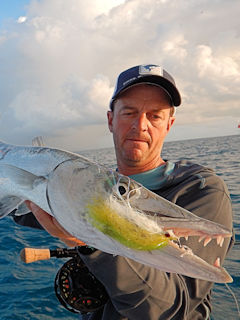 blog-Nov-1b-2015-6-jeff-currier-flyfishing-barracuda