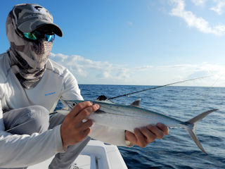 blog-Nov-1b-2015-7-spanish-mackerel