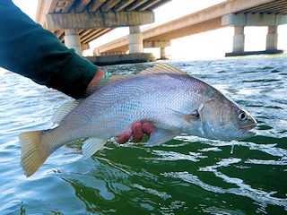 blog-Dec-1-2015-5-craig-smith-jeff-currier