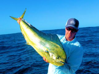 blog-Dec-13-2015-8-jeff-currier-dorado-fishing