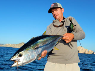 blog-Dec-15-2015-6-jeff-currier-yellowfin-tuna