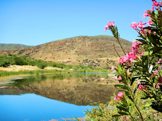 blog-Nov-17-2015-1-gourits-river-south-africa