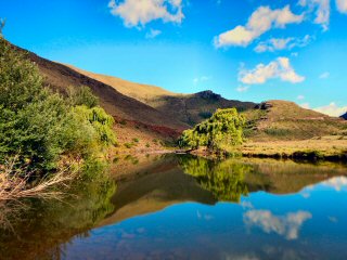 blog-Nov-22-2015-2-trout-fishing-lesotho