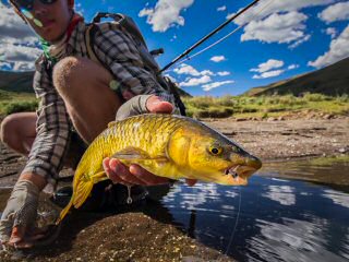 blog-Nov-22-2015-6-flyfishing-for-yellowfish