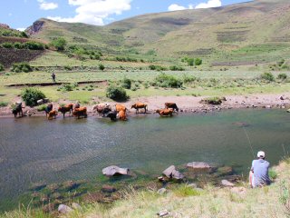 blog-Nov-24-2015-7-jeff-currier-fishing-lesotho