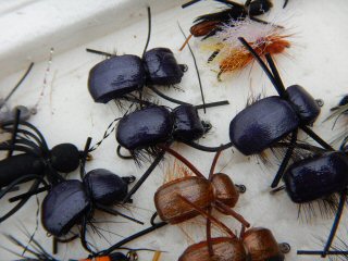 blog-Nov-27-2015-5-beetle-fly-patterns