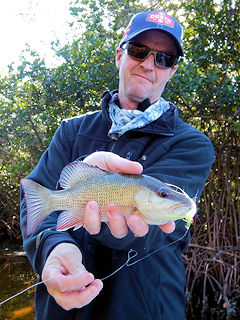 blog-Feb-5-2016-7-jeff-currier-flyfishing-mangrove-snapper