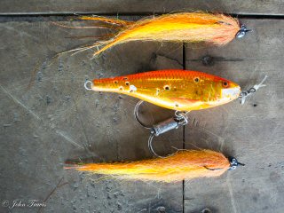 blog-March-21-2016-13-fly-patterns-for-cubera-snapper