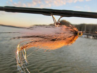 blog-April-15-2016-3-flyfishing-for-musky